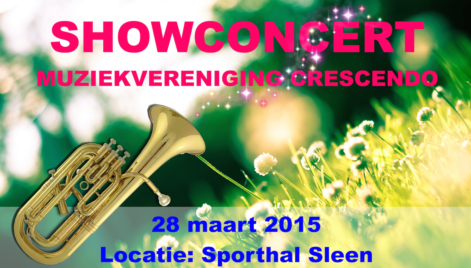 poster showconcert_fi